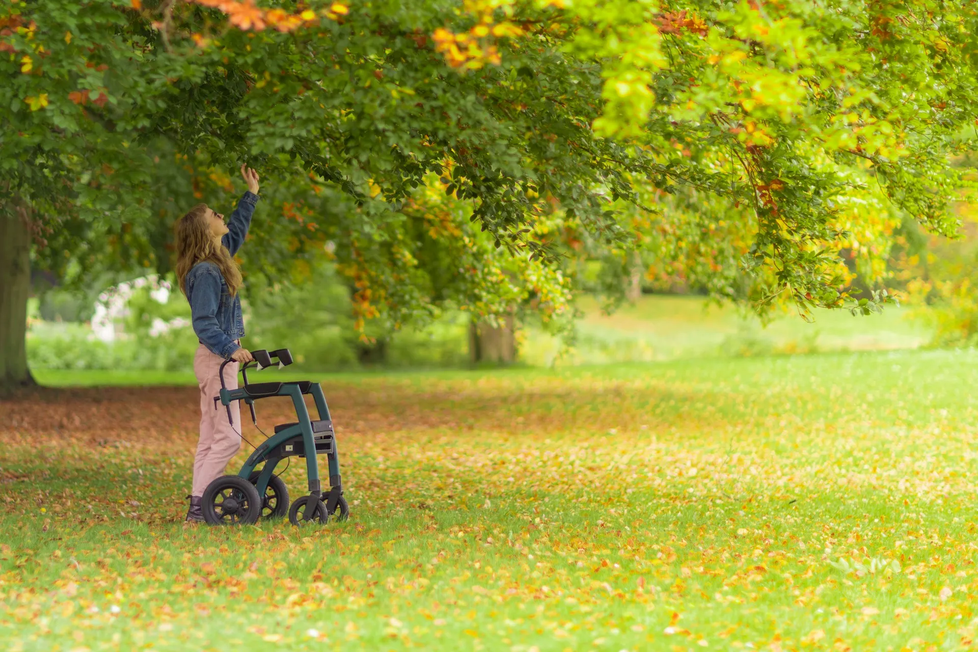 disability living allowance adults